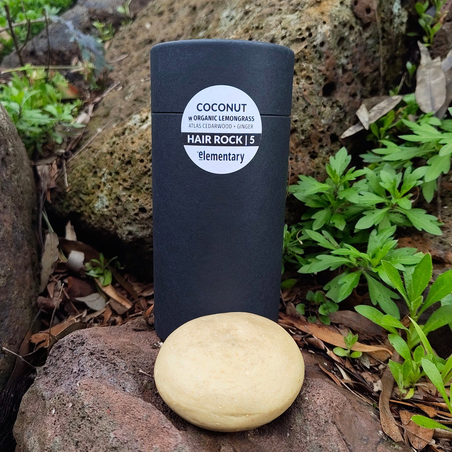 HAIR | Botanical Solid Shampoo Bar