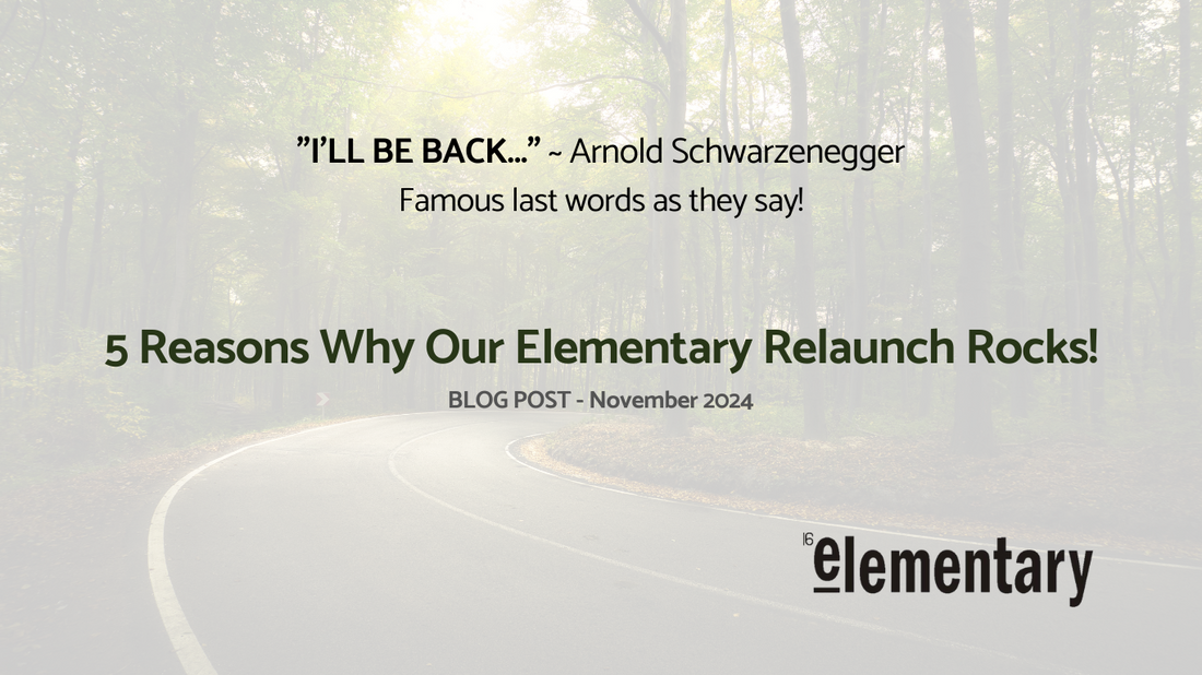 5 Reasons Why Our Elementary Relaunch Rocks!
