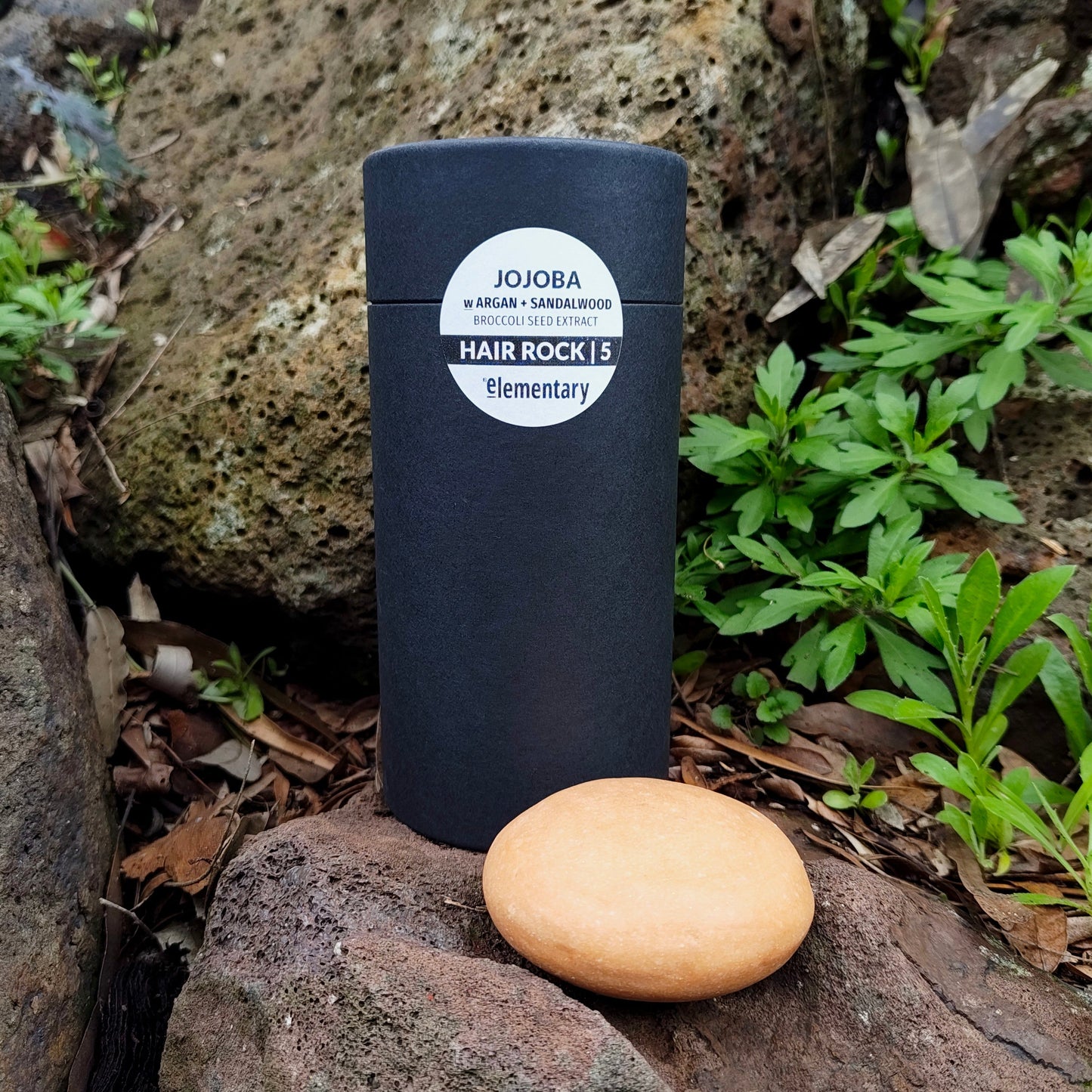 HAIR | Botanical Solid Shampoo Bar