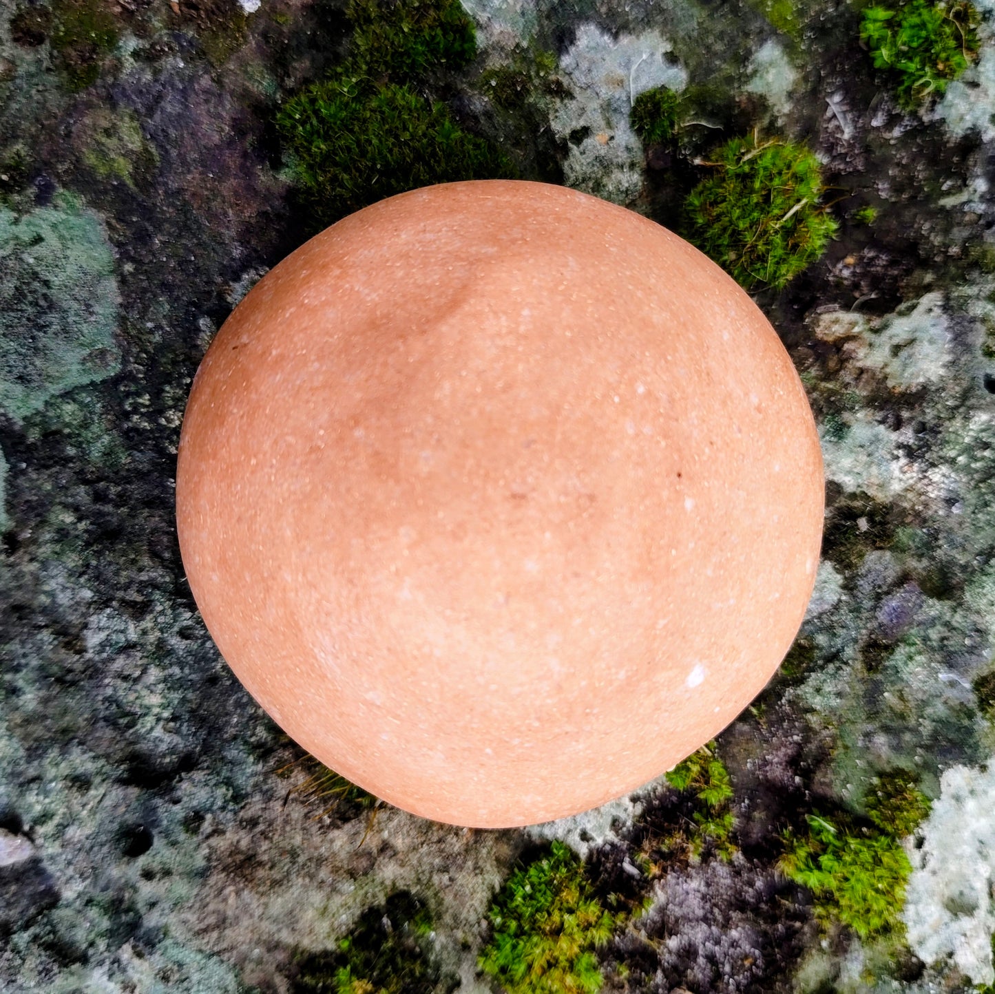 HAIR | Botanical Solid Shampoo Bar
