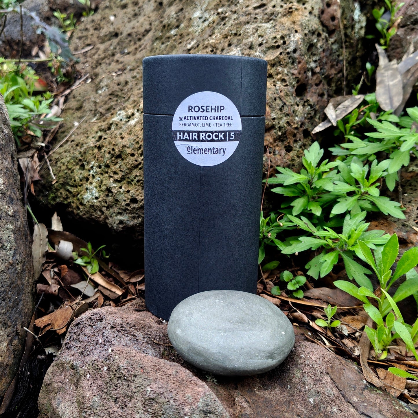 HAIR | Botanical Solid Shampoo Bar