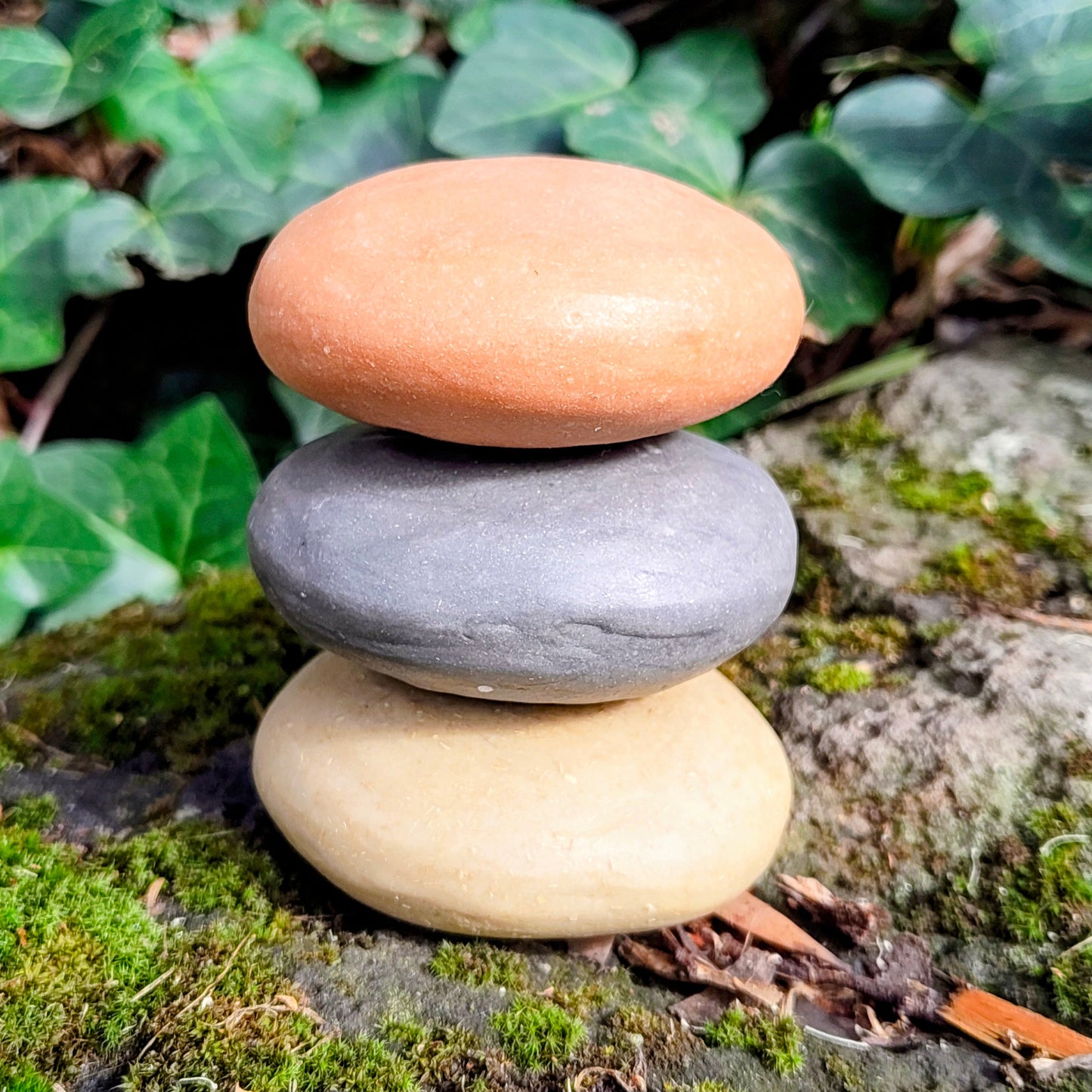 HAIR | Botanical Solid Shampoo Bar