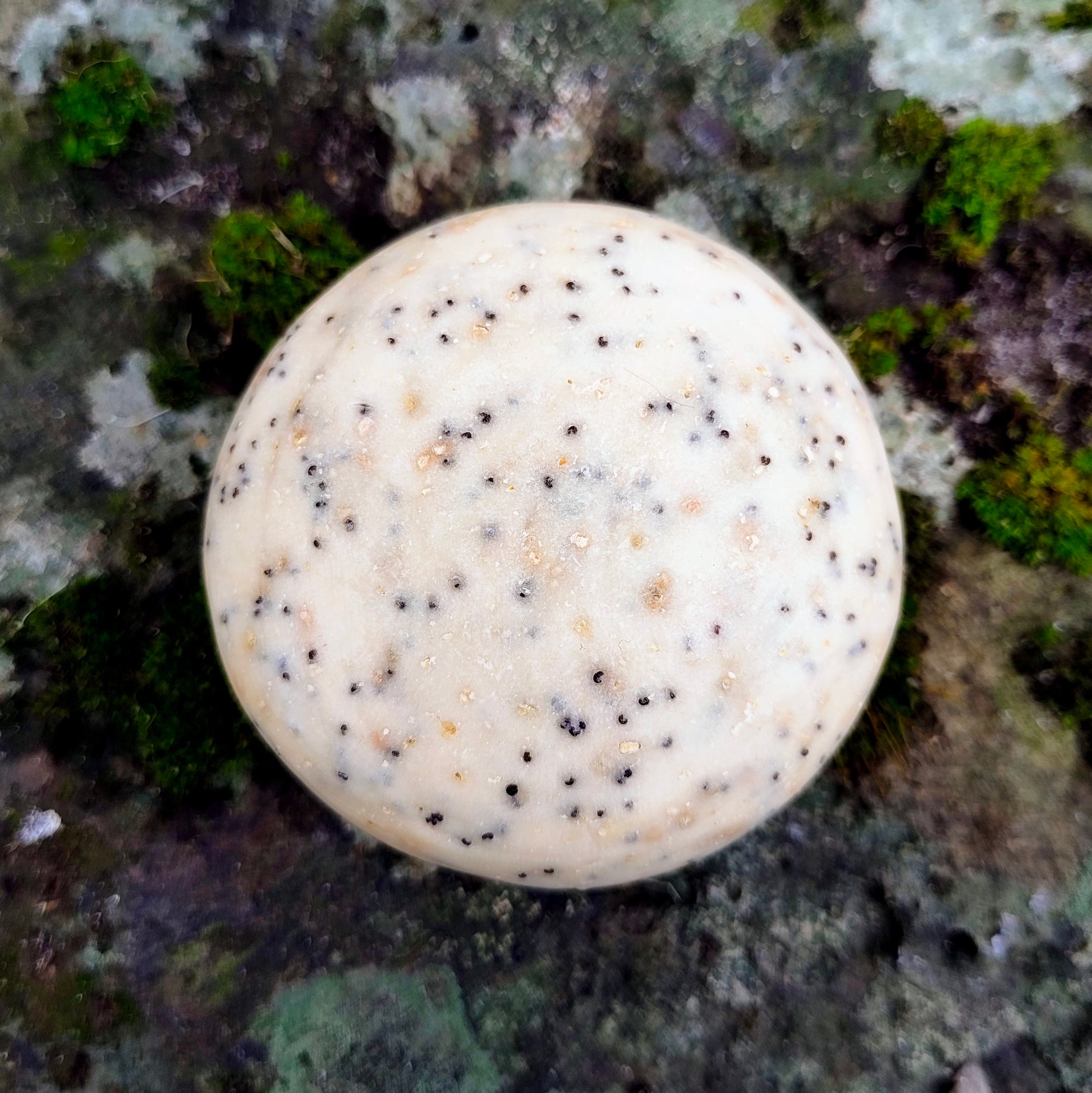 Natural botanical exfoliating body soap bar, Elementary Wash Rock