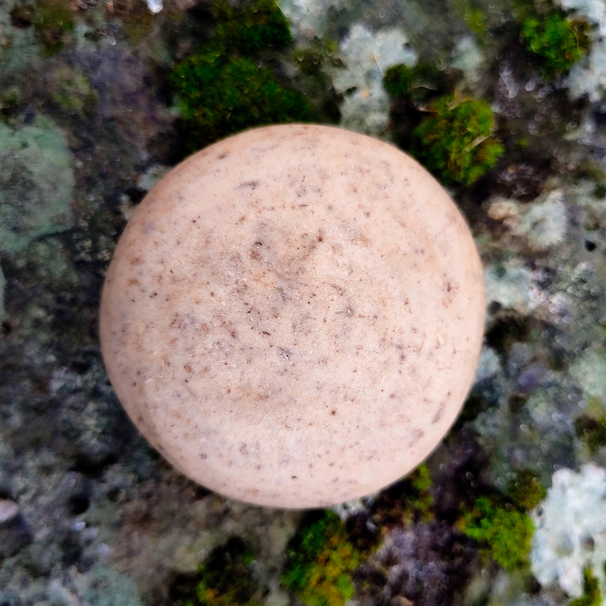 Elementary Wash Rock - Coconut Oil w Wild Lavender and Sandalwood