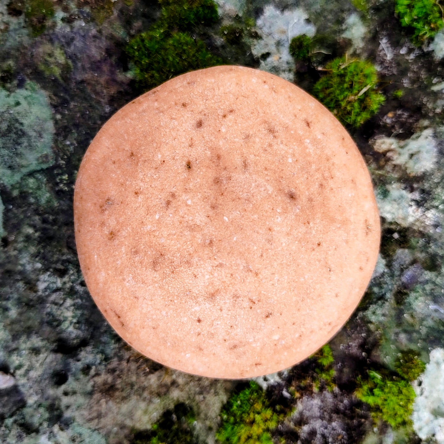 Elementary Wash Rock, botanical cleansing bar, hand-rolled in Melbourne, Australia