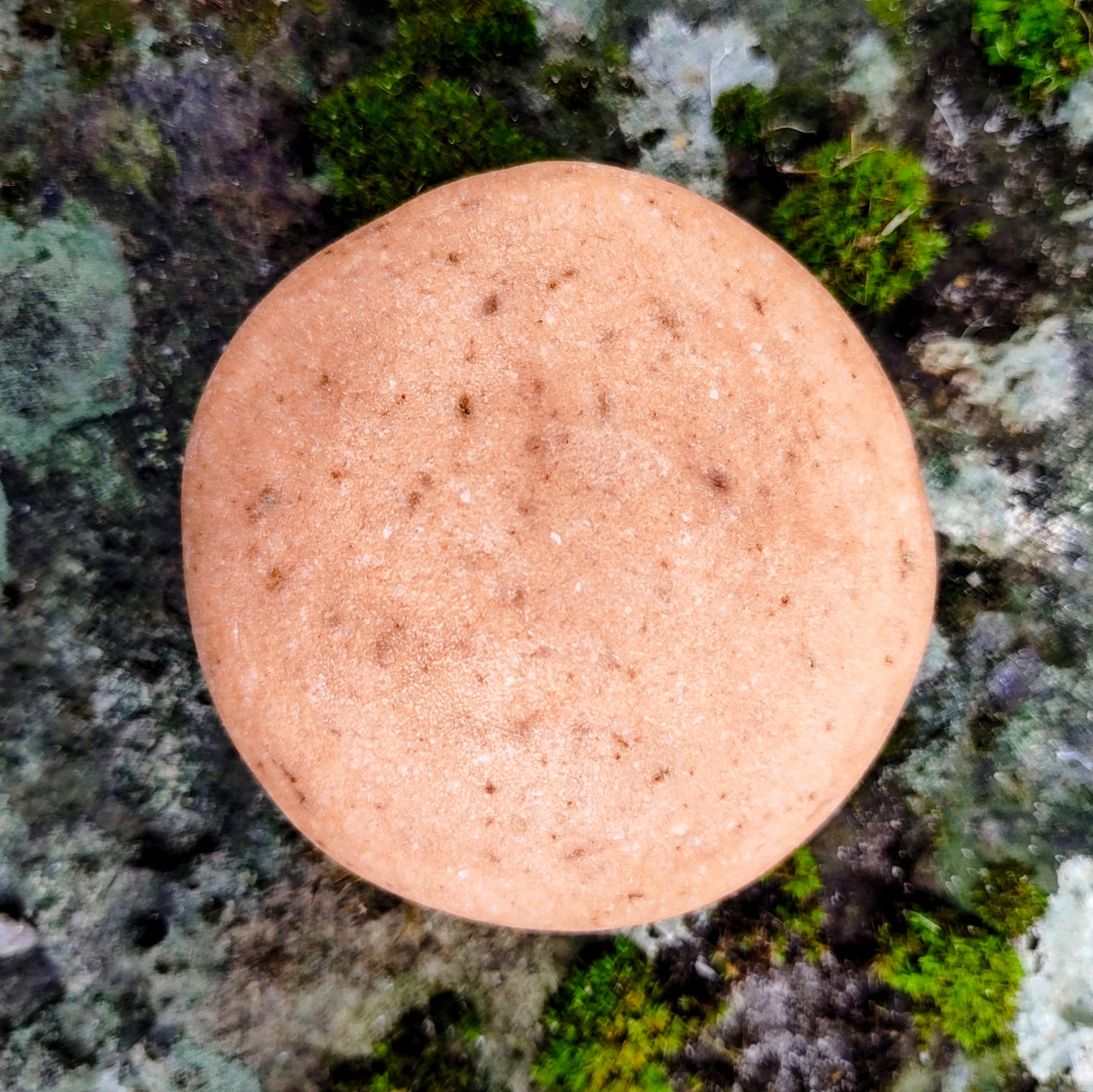 Elementary Wash Rock, botanical cleansing bar, hand-rolled in Melbourne, Australia