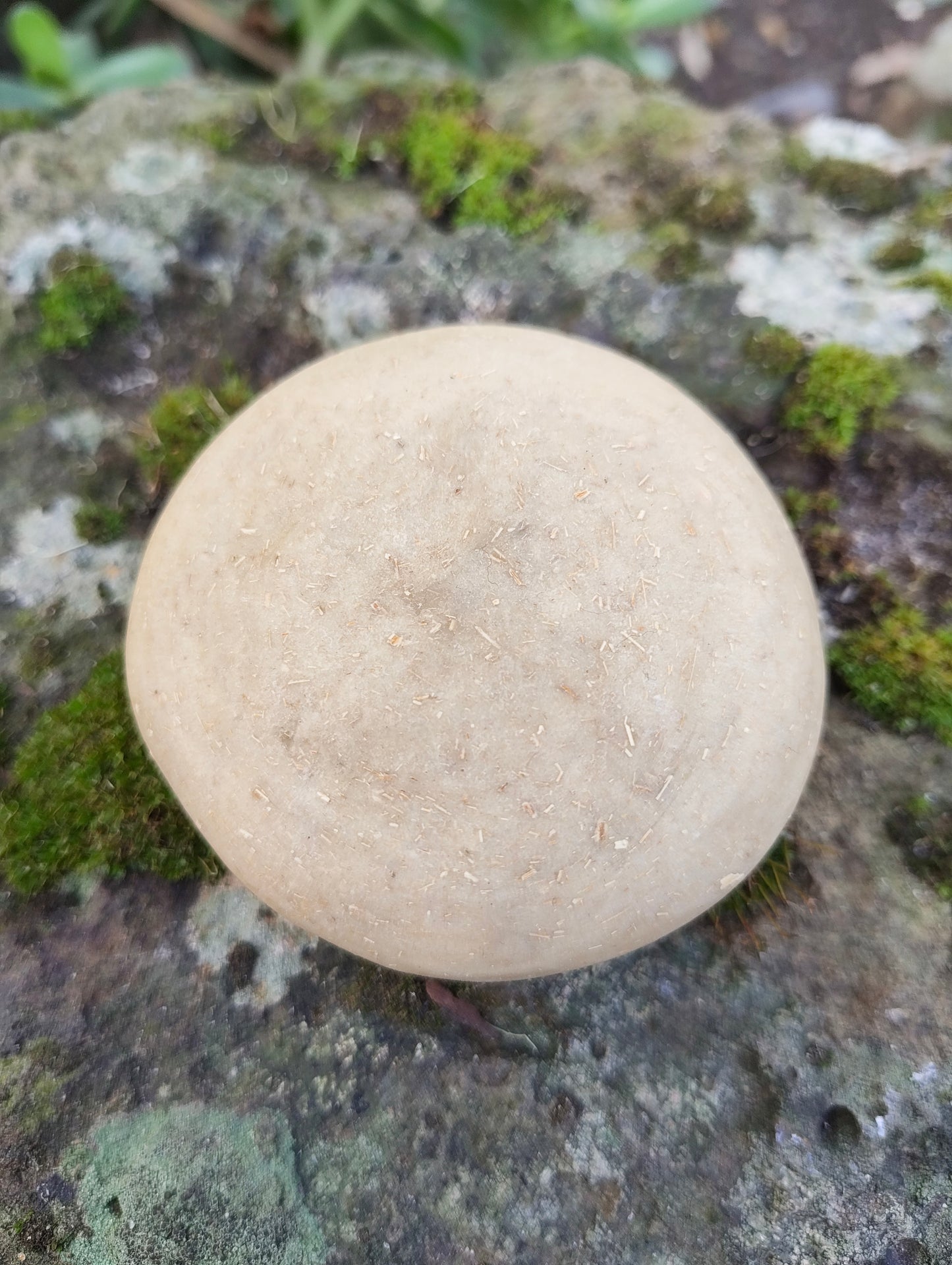 HAIR | Botanical Solid Shampoo Bar