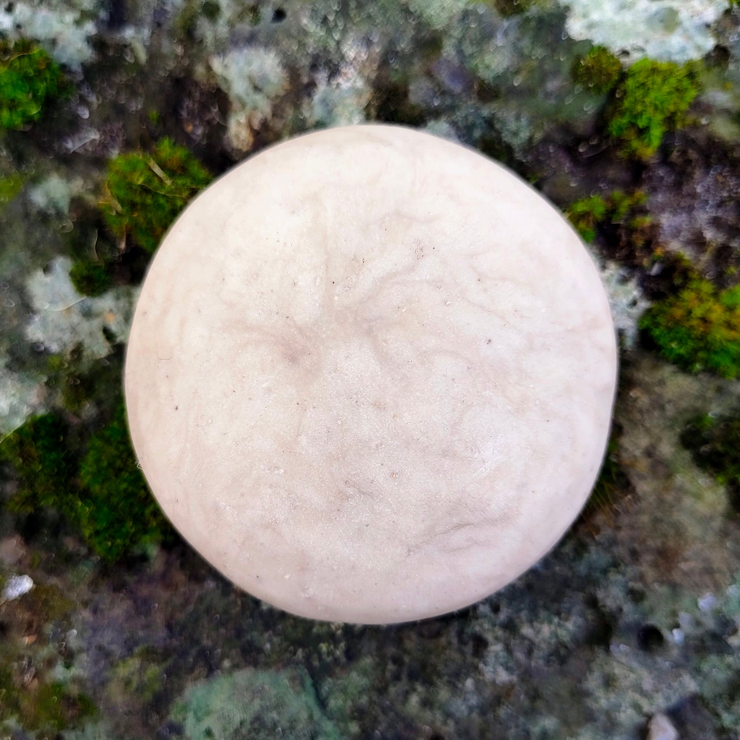 BODY | WASH ROCKS - Botanical Cleansing Soap Bar